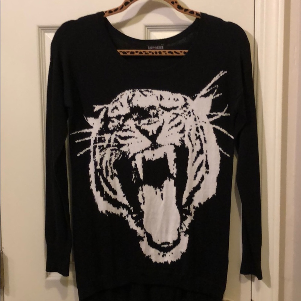 Express sweater